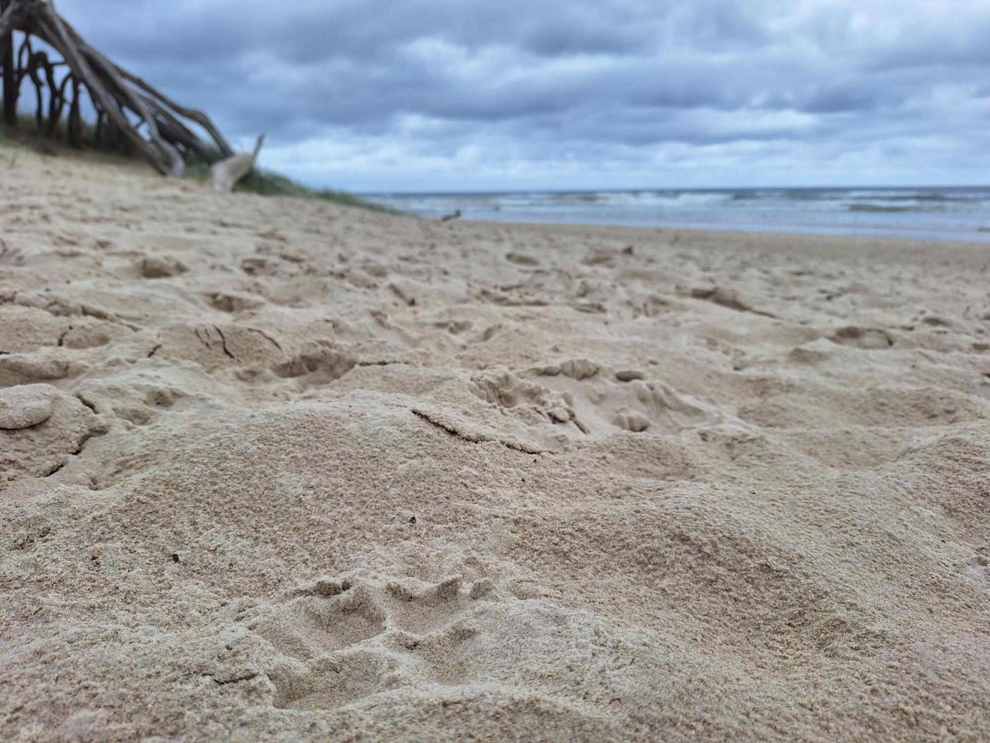 Ballina Beach Nature Resort Zewnętrze zdjęcie